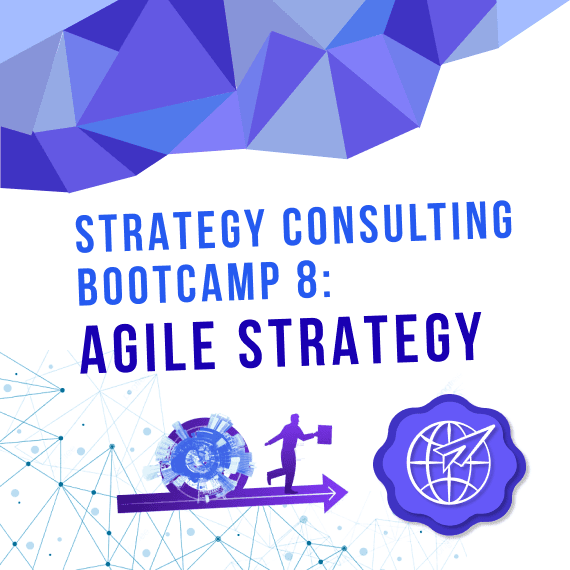 Product Strategy Consulting Bootcamp | Part 8 | Agile - Purchase Course image