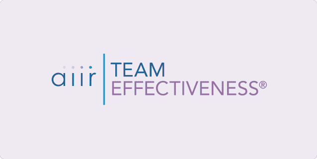 Product Team Effectiveness - AIIR Consulting image