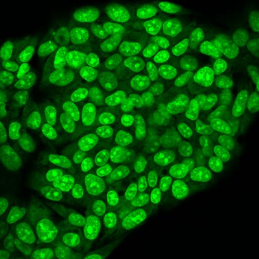 Product: Cell biology - Anti Oxidant Power