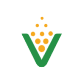 Valentine Enterprises Inc Logo