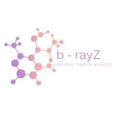 b-rayZ Logo