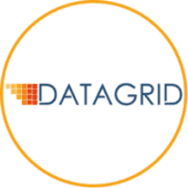 Datagrid Solutions's Logo