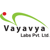 Vayavya Labs's Logo