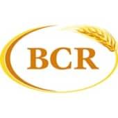 BCR Companies Logo