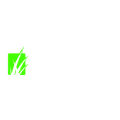 Artificial Grass Superstore Logo