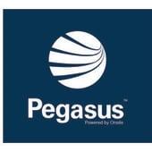 Pegasus Management's Logo