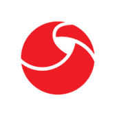 Vision Support Services Group Ltd. Logo