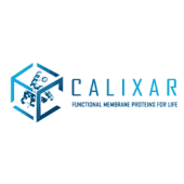 Calixar Logo