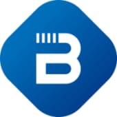 Bluevisor Systems Logo