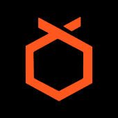 Orange Charger Logo