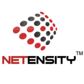 Netensity Logo