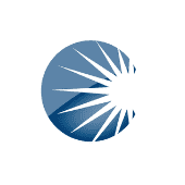 Cleartelligence Logo