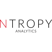 Ntropy Analytics Logo
