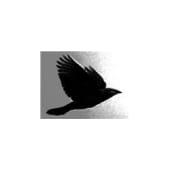 Blackbird Holdings Logo