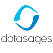 Datasages Consulting Group Logo