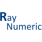 Raynumeric Simulation & Technologies LLP Logo