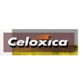 Celoxica Logo