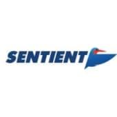 Sentient Vision Systems Logo