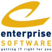 Enterprise Software Systems Logo