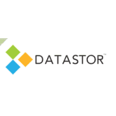 Data Storage Group's Logo