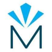 Mount Street Group Logo