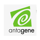 Antagene Logo