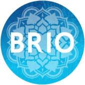 Briotech Logo