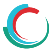Secon Cyber Logo