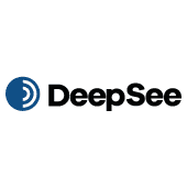 DeepSee.ai Logo