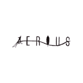 Aerius Industries Logo