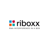 Riboxx Logo