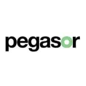 Pegasor Oy's Logo