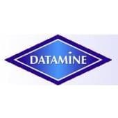 Datamine Logo