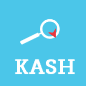 KASH Interactive Solutions Logo