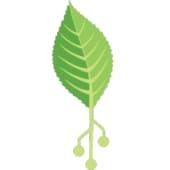 Digital Harvest's Logo