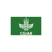 CGIAR Consortium Logo