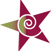 Star Service Logo
