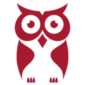 CyberOwl Logo