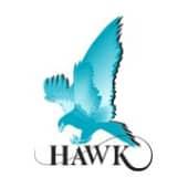 HAWK Measurement Systems's Logo