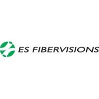 ES FIBERVISIONS Logo
