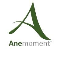 Anemoment LLC Logo