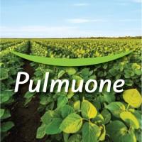 Pulmuone Foods USA, Inc. Logo