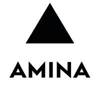 Amina Technologies Ltd Logo