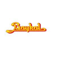 Baykal Logo