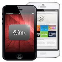 The Wink Initiative Inc's Logo
