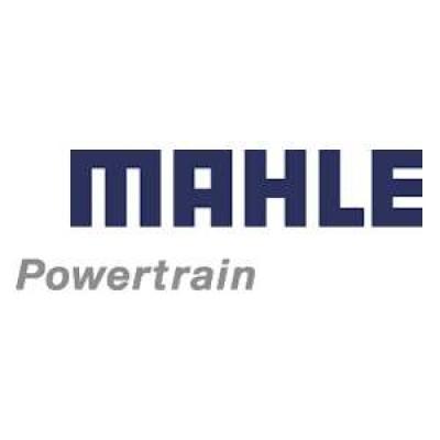 MAHLE POWERTRAIN LIMITED's Logo