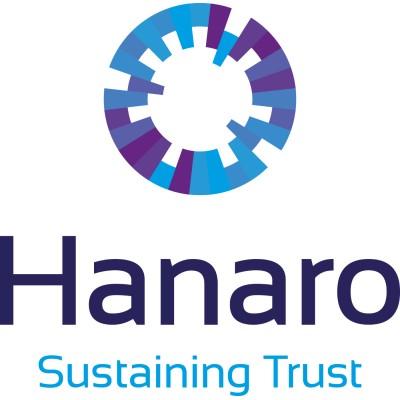 Hanaro Europe B.V. Logo