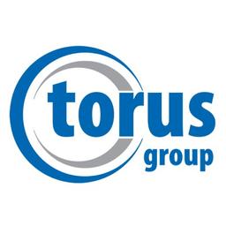TORUS MEASUREMENT SYSTEMS LIMITED Logo