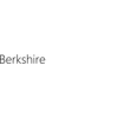 Berkshire Photonics LLC's Logo