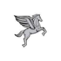 Pegasus Technologies, Inc. Logo